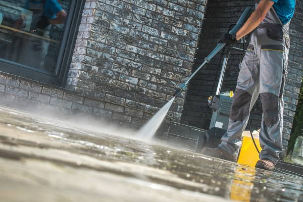 Best Solar Panel Cleaning  in Island City, OR