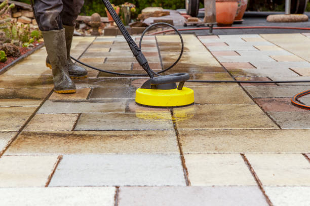 Animal Enclosure Cleaning in Island City, OR
