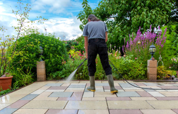 Best Restaurant Pressure Washing  in Island City, OR